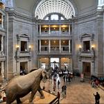 Smithsonian National Museum of Natural History