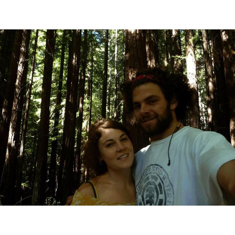 Redwoods