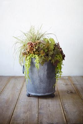 Galvanized Ring Handle Planter, 24"