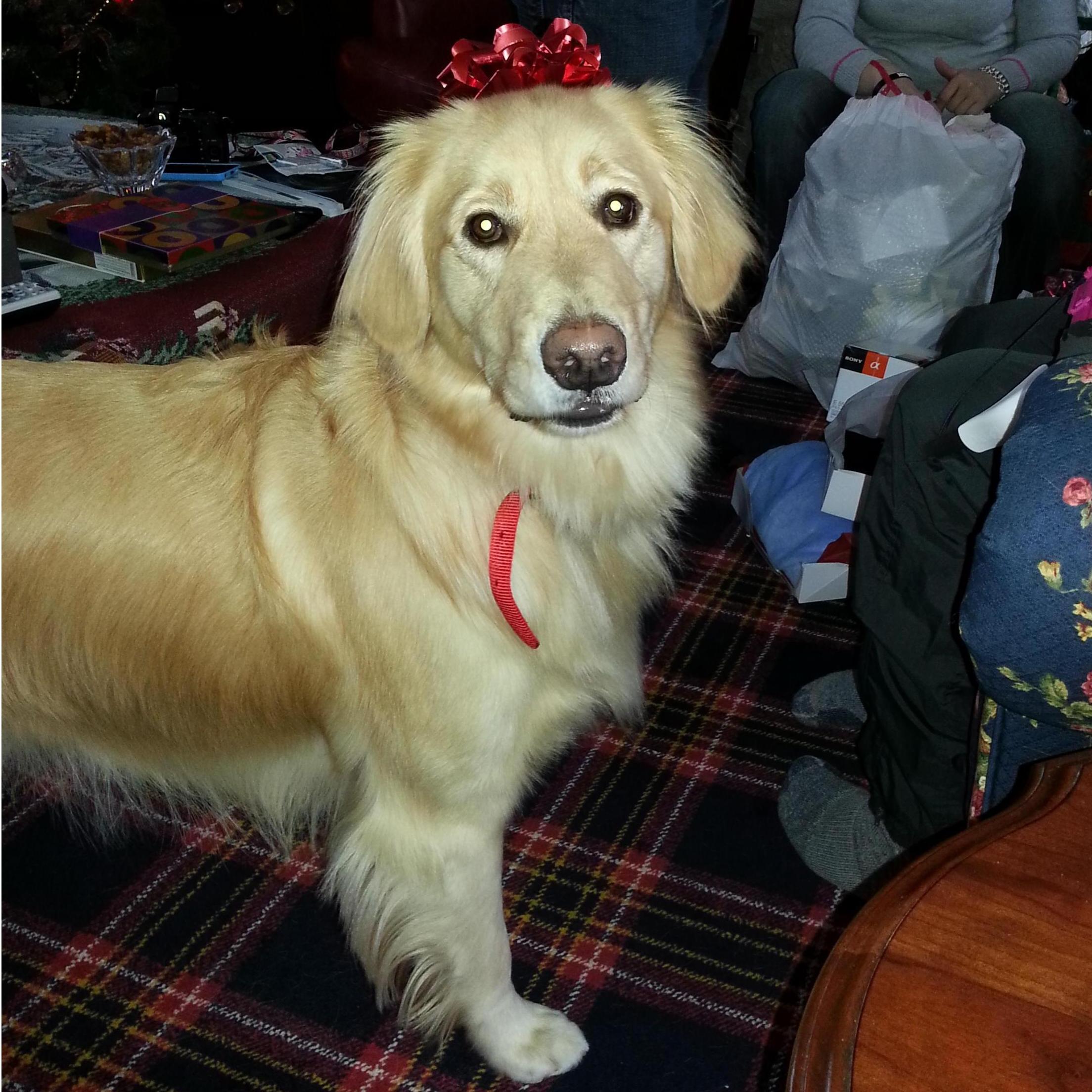 Always ready to pose for a picture!