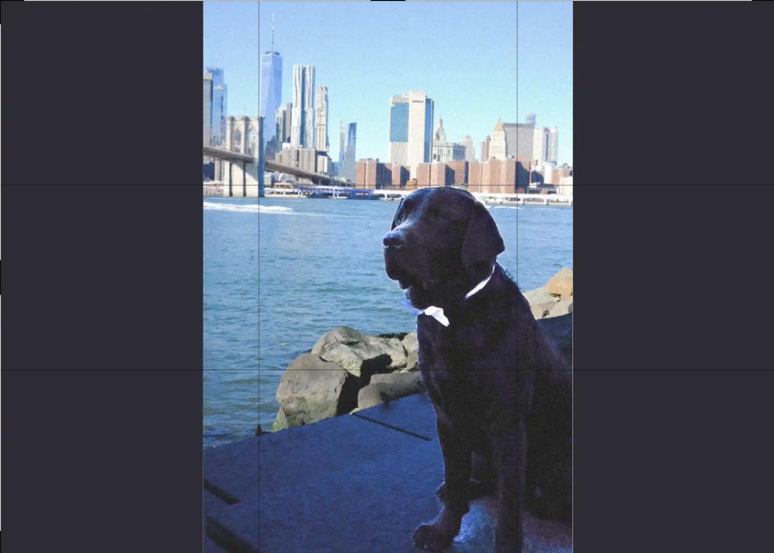 The Wedding Website of Alexa Schweitzer and Alexander Lyon