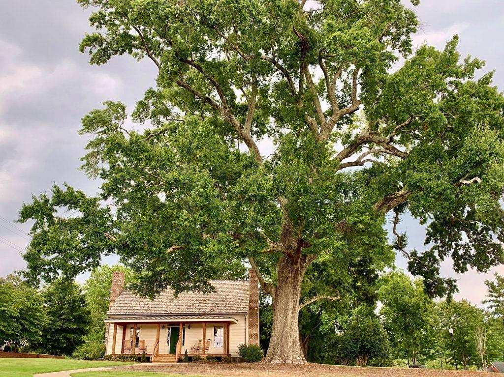 The Wedding Website of Laura Wagner and Landon Peterson