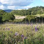 Trione-Annadel State Park