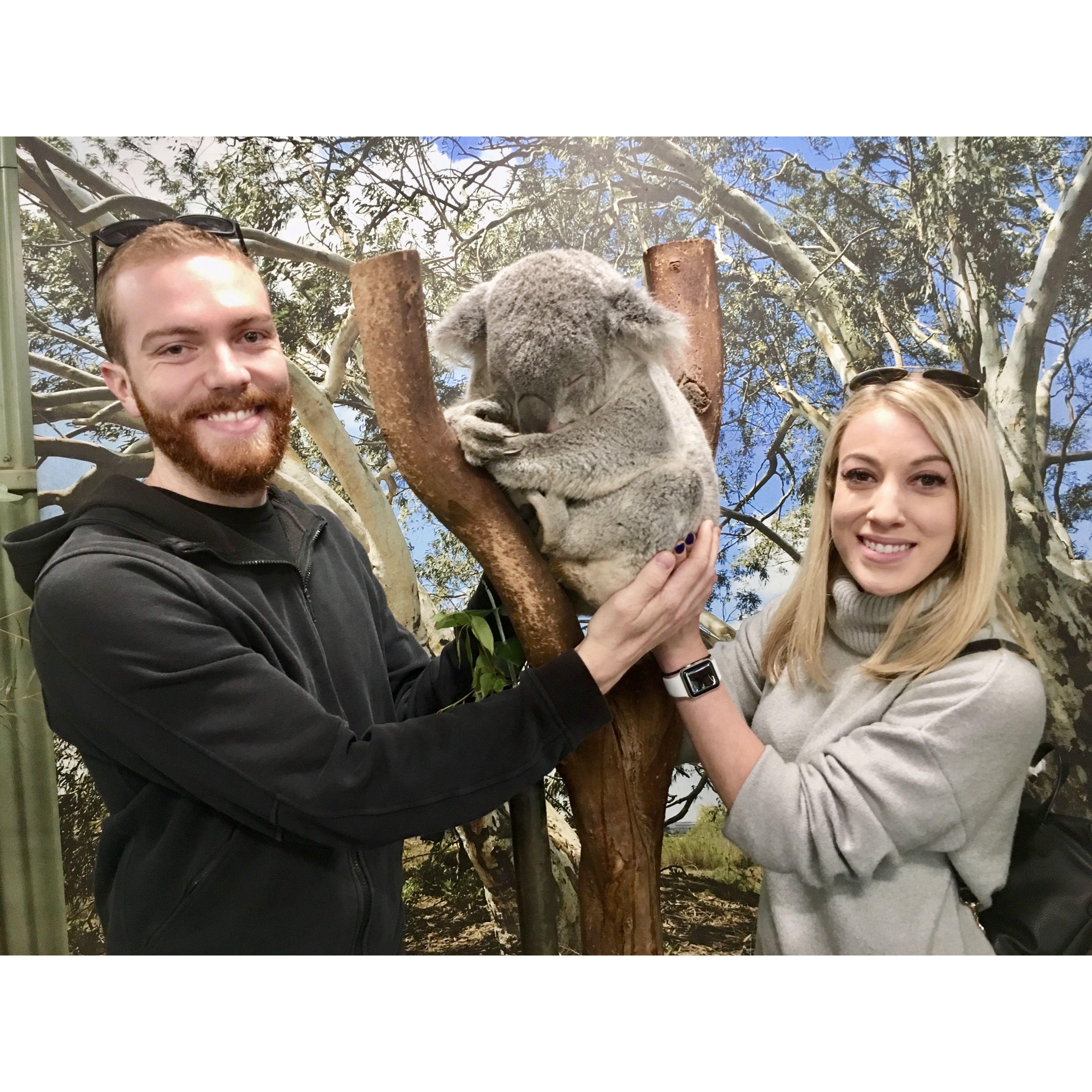 At a wildlife sanctuary, Sydney 2019