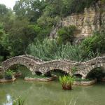Brackenridge Park Conservancy