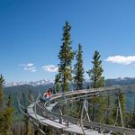 Lionshead Ticket Office
