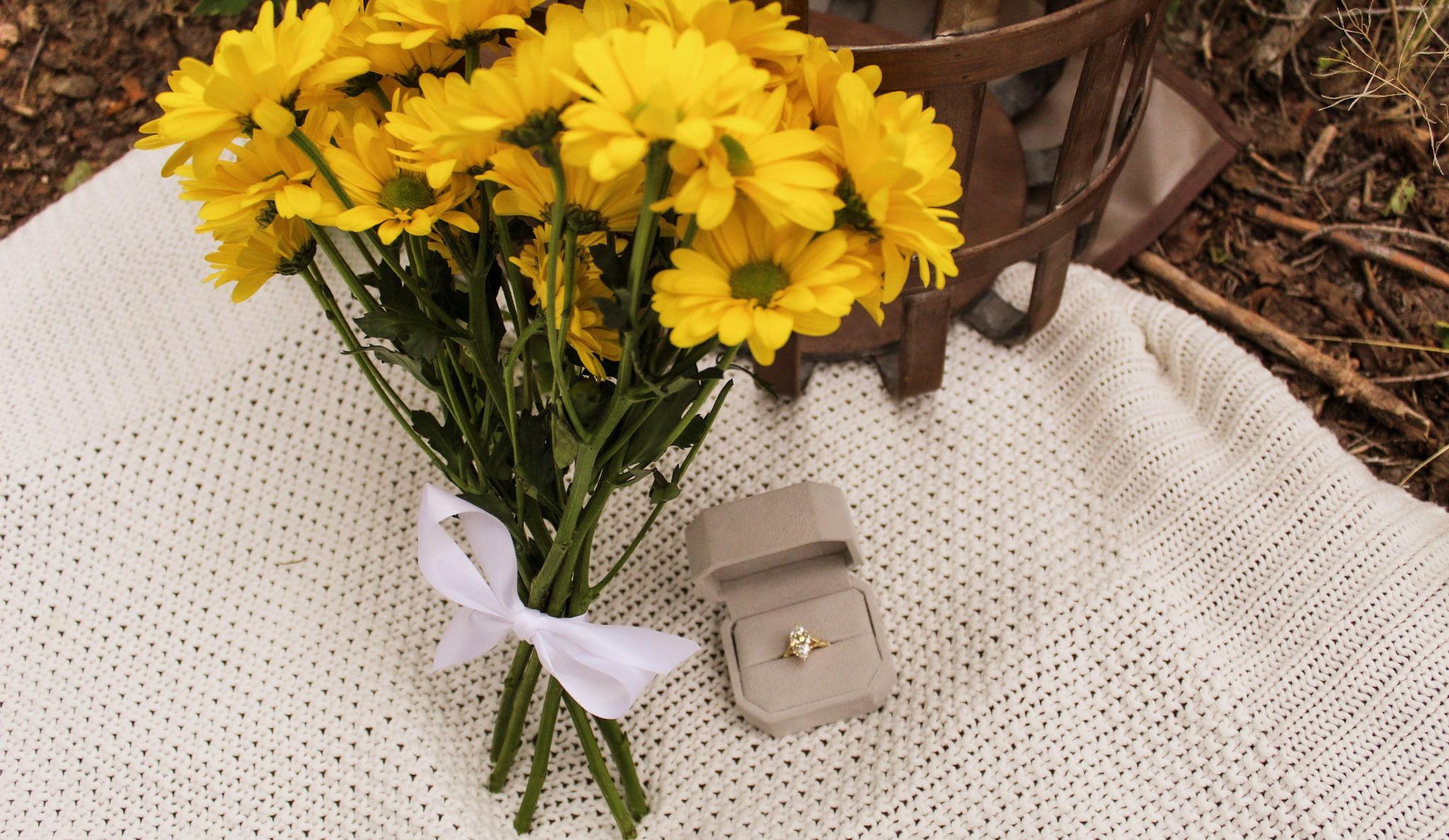 The Wedding Website of Nova Gore and Aiden Jellison