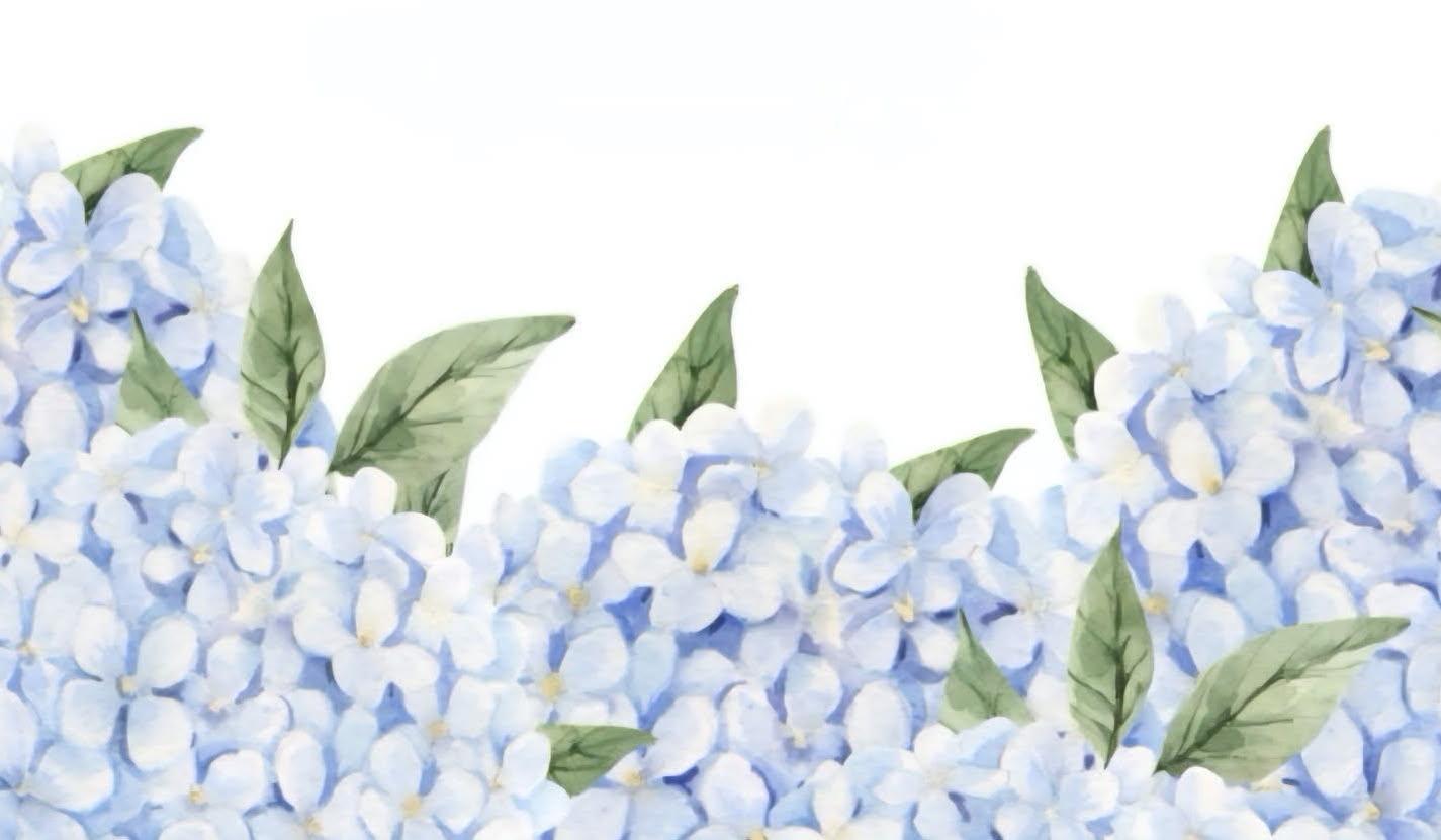Footer image