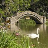 City Park