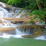 The World Famous Dunn's River Falls & Park