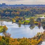 Forest Park