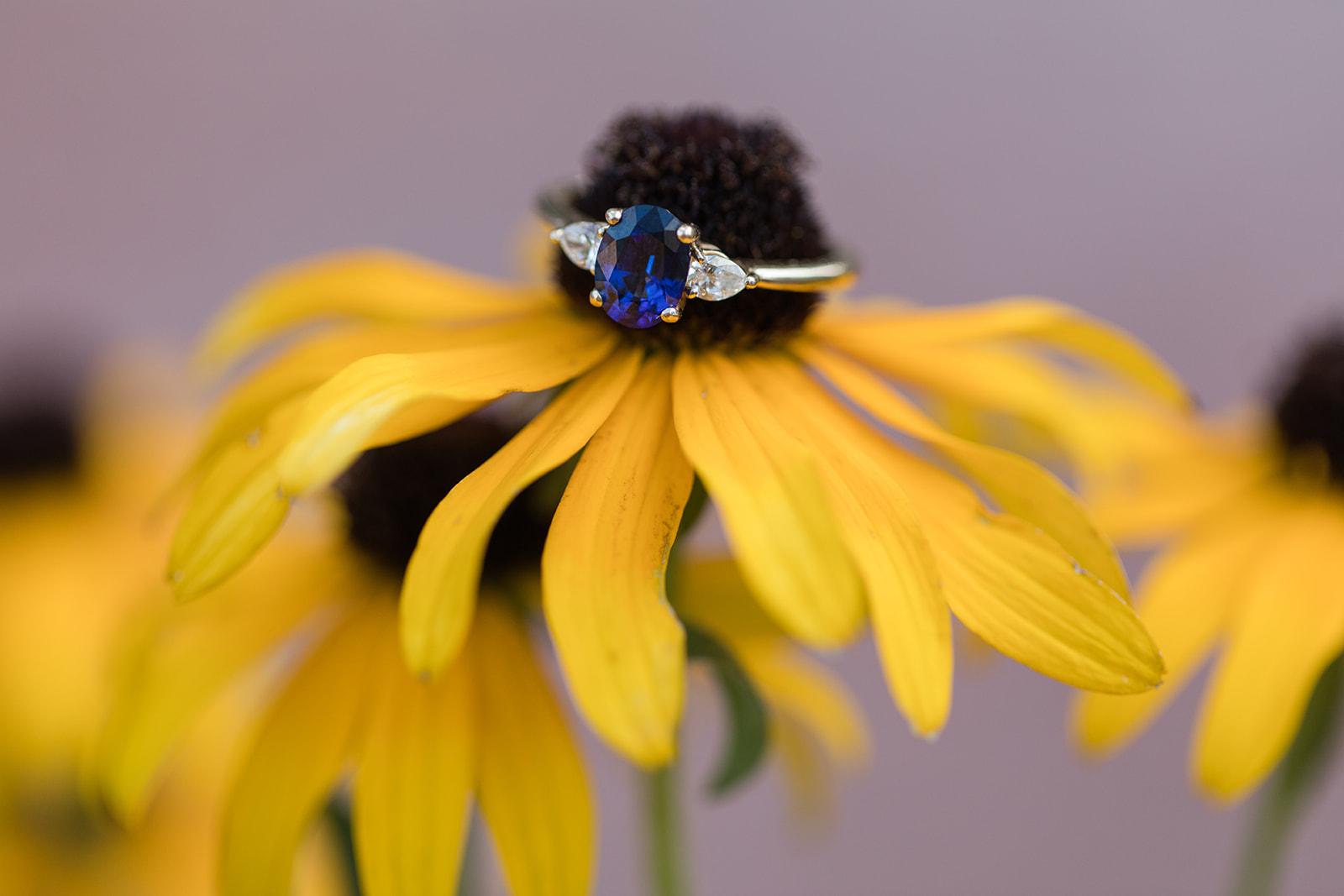 The Wedding Website of Madison Andrews and Noe Lovera