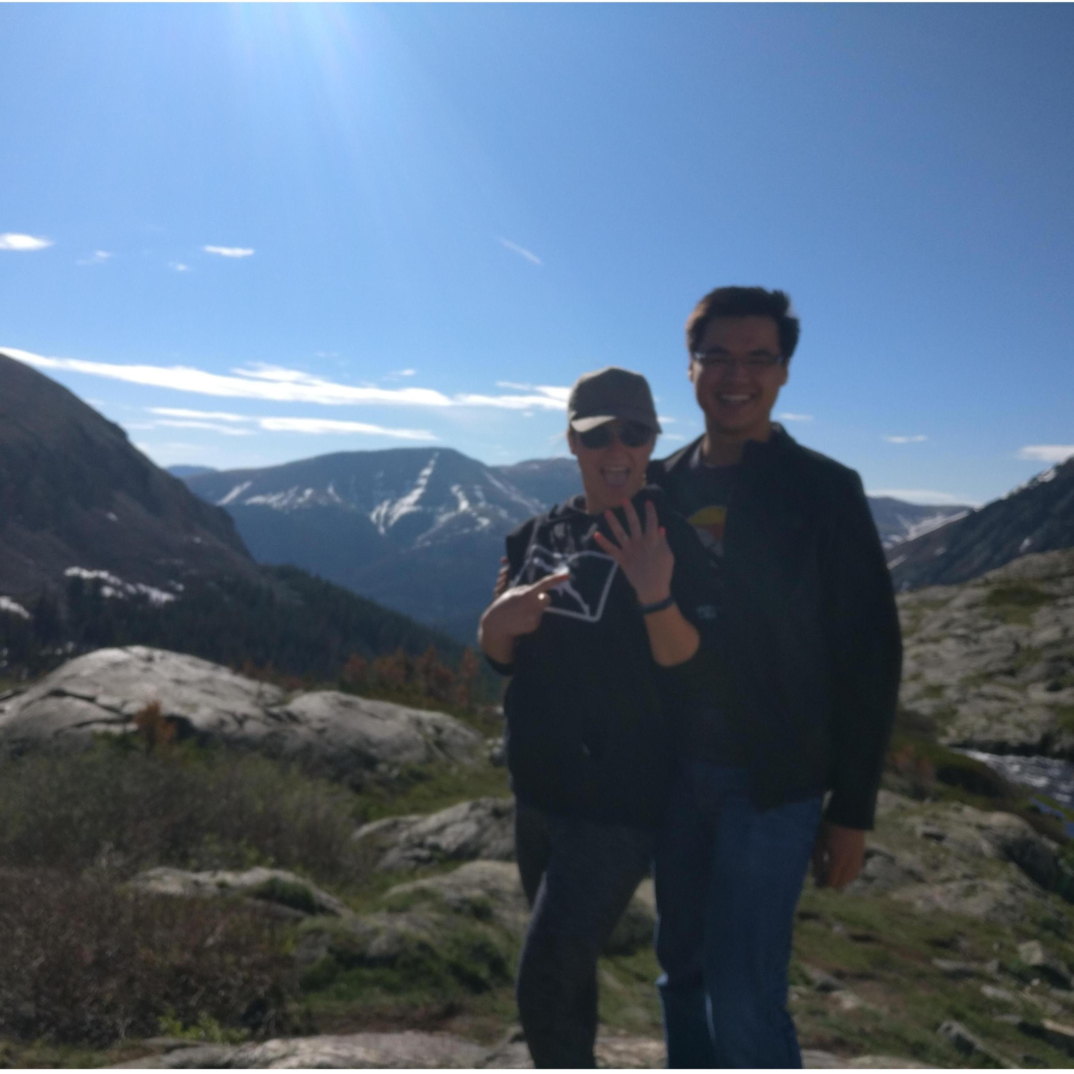 The proposal. June 2019