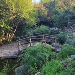 Zilker Botanical Garden