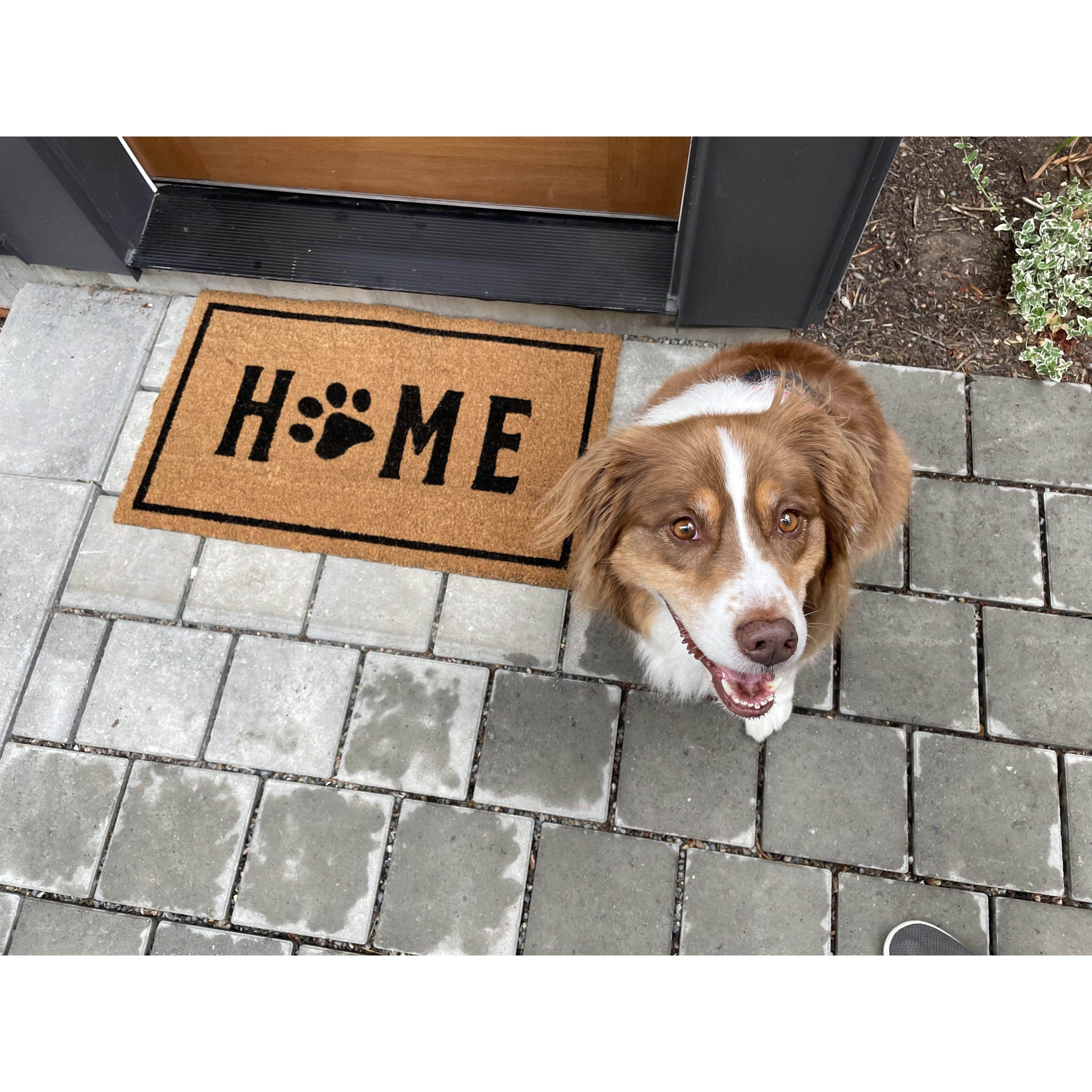 May 2021- our other roommate who lives rent free