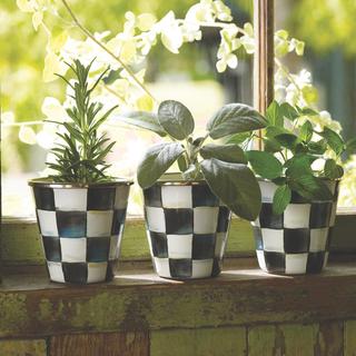 Courtly Check Herb Pot, Set of 3