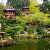 Japanese Tea Garden