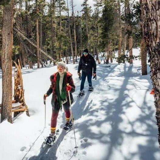 Snow shoeing, 2019