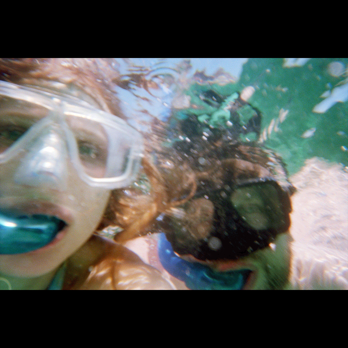Snorkeling off the coast of Isla Mujeres