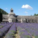 Abbaye Notre-Dame de Sénanque