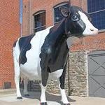 Turkey Hill Experience