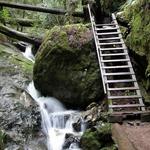 Matt Davis-Steep Ravine Loop