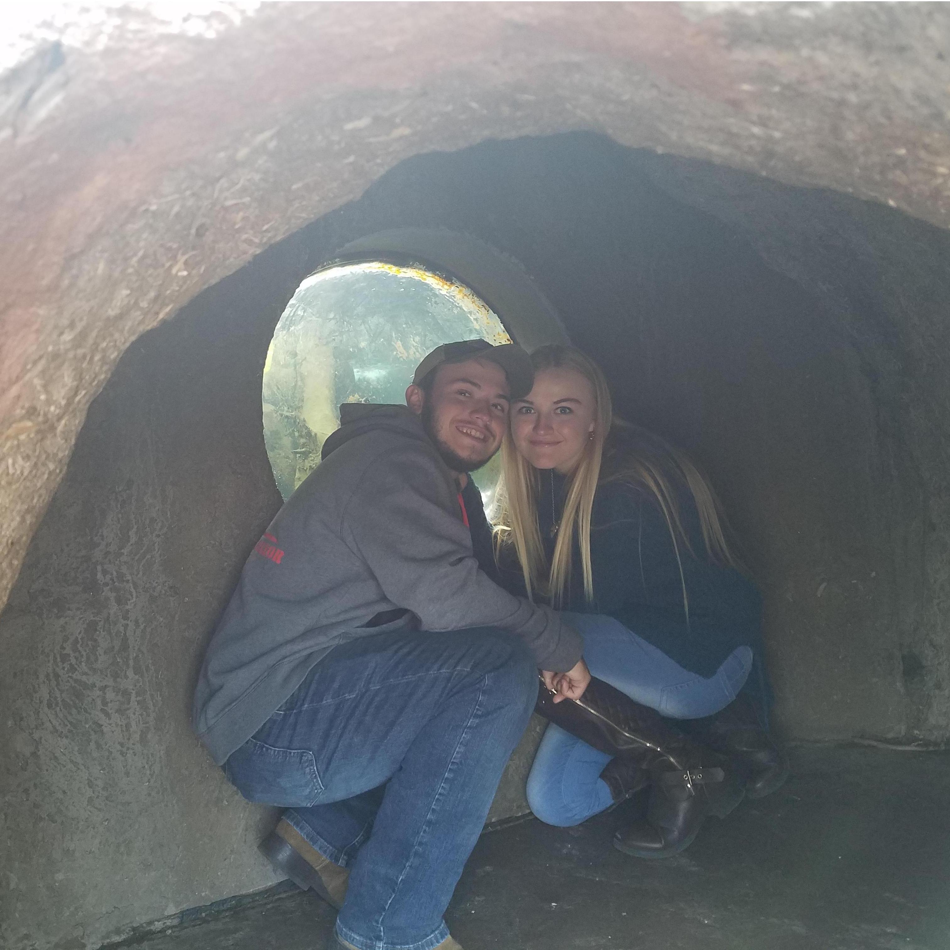 Our trip to the Cheyenne Mountain Zoo.