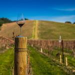 Niche Wine Tours