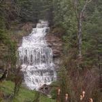 Alger Falls
