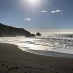 Bodega Bay