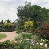 JC Raulston Arboretum