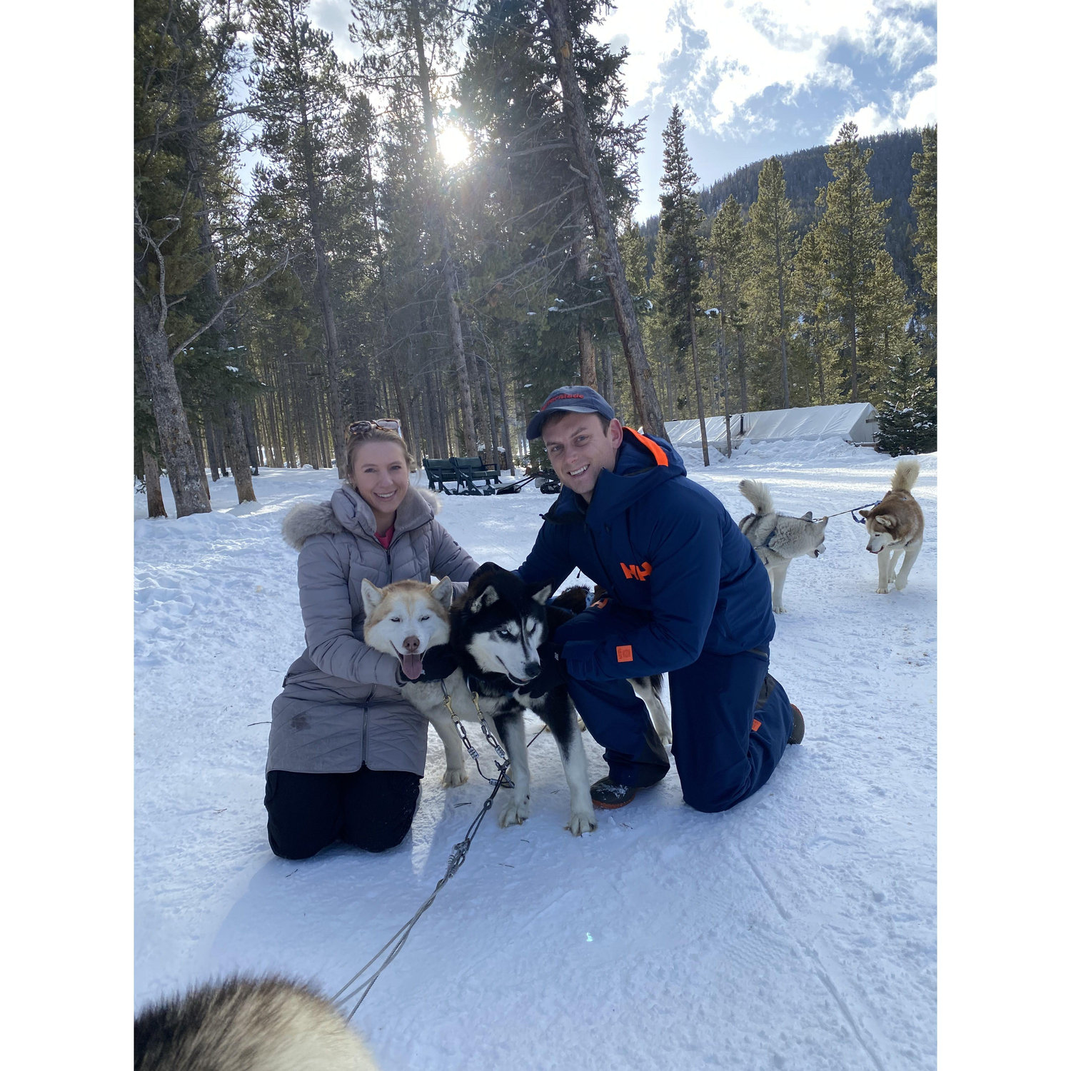 Dog sledding in Breckenridge