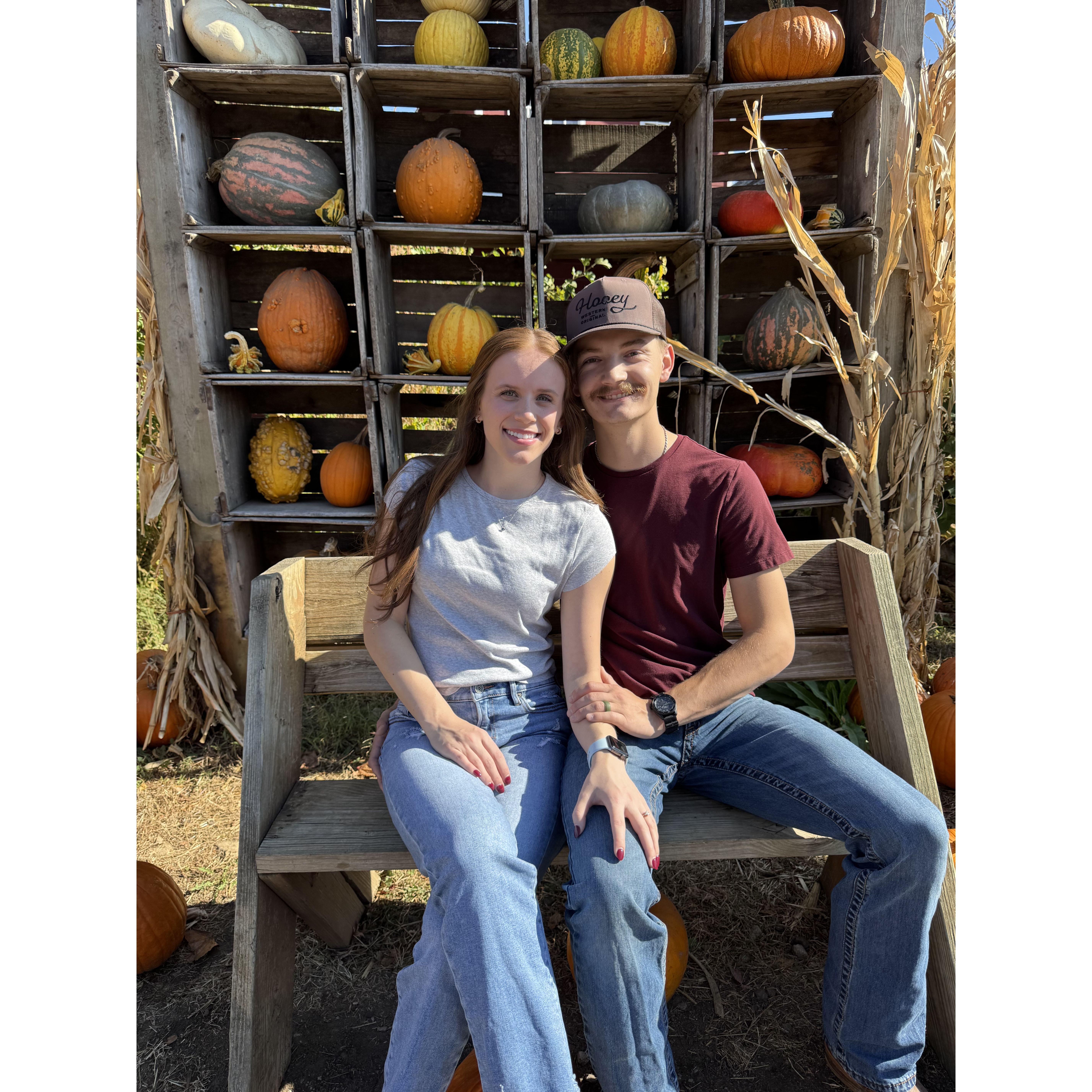 Vala's Pumpkin Patch