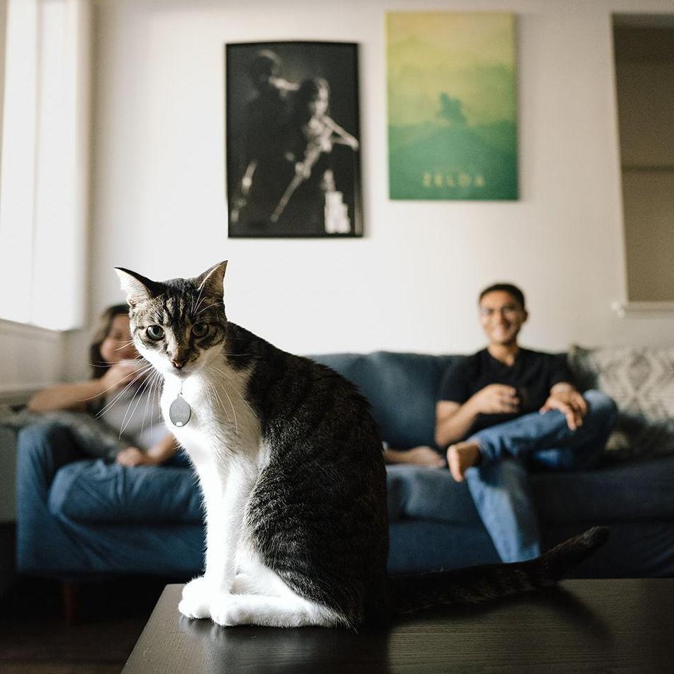 Penn loves being the center of attention.