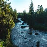 Walk the River Trail