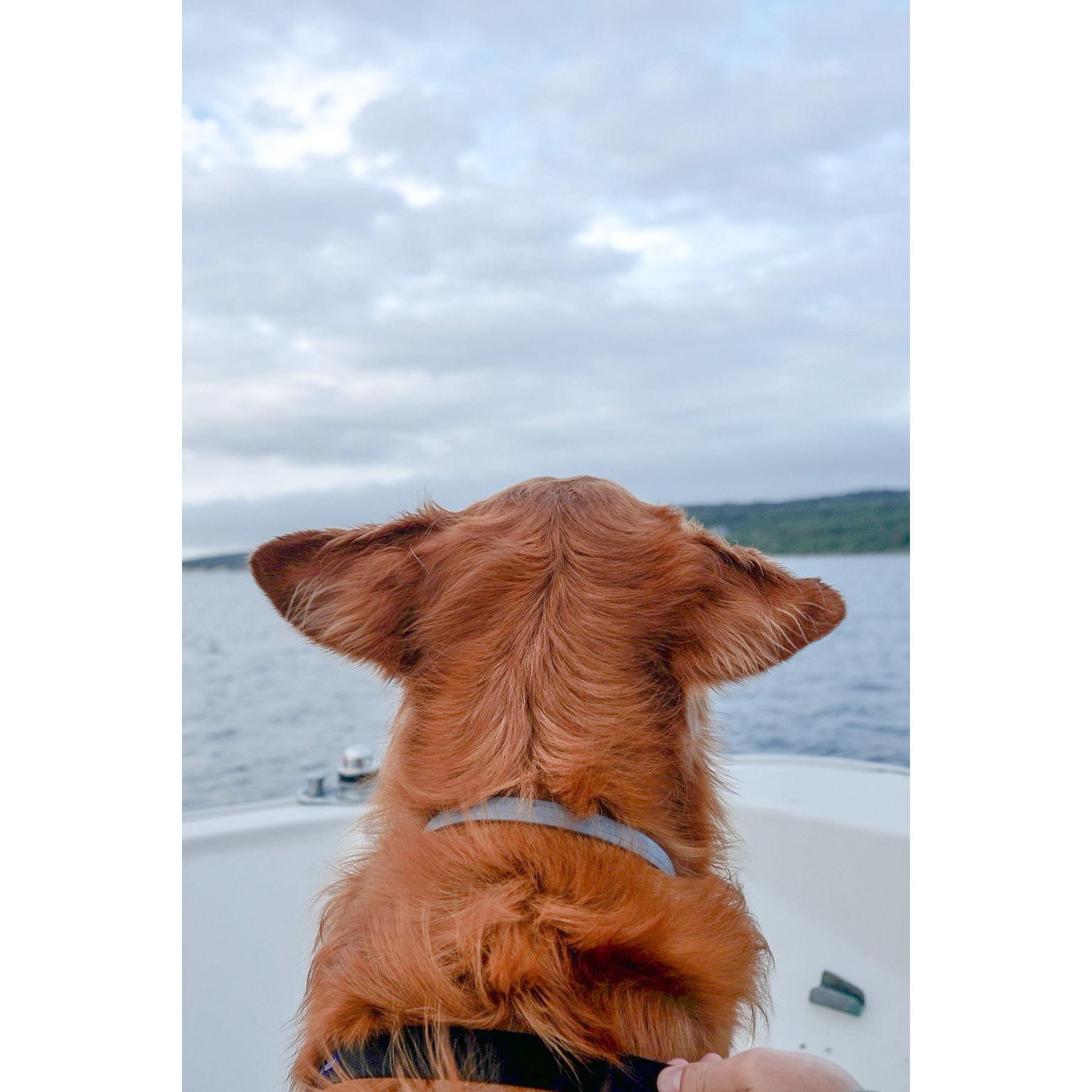 Jax on the Whaler with Captain Dan