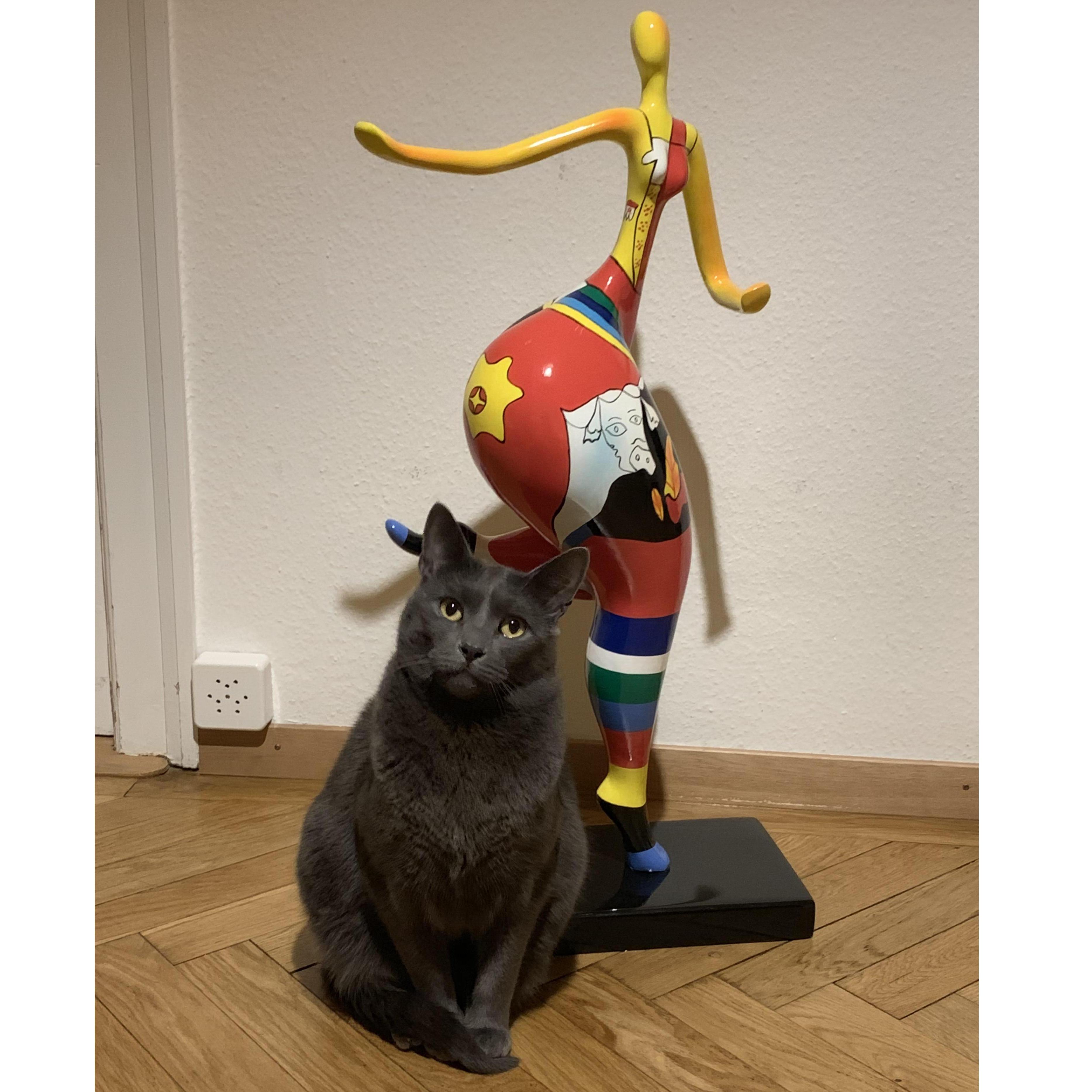 la ballerina e il gatto