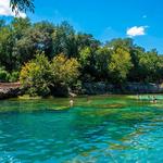Barton Springs Pool