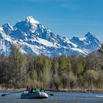 Scenic Float on Snake River
