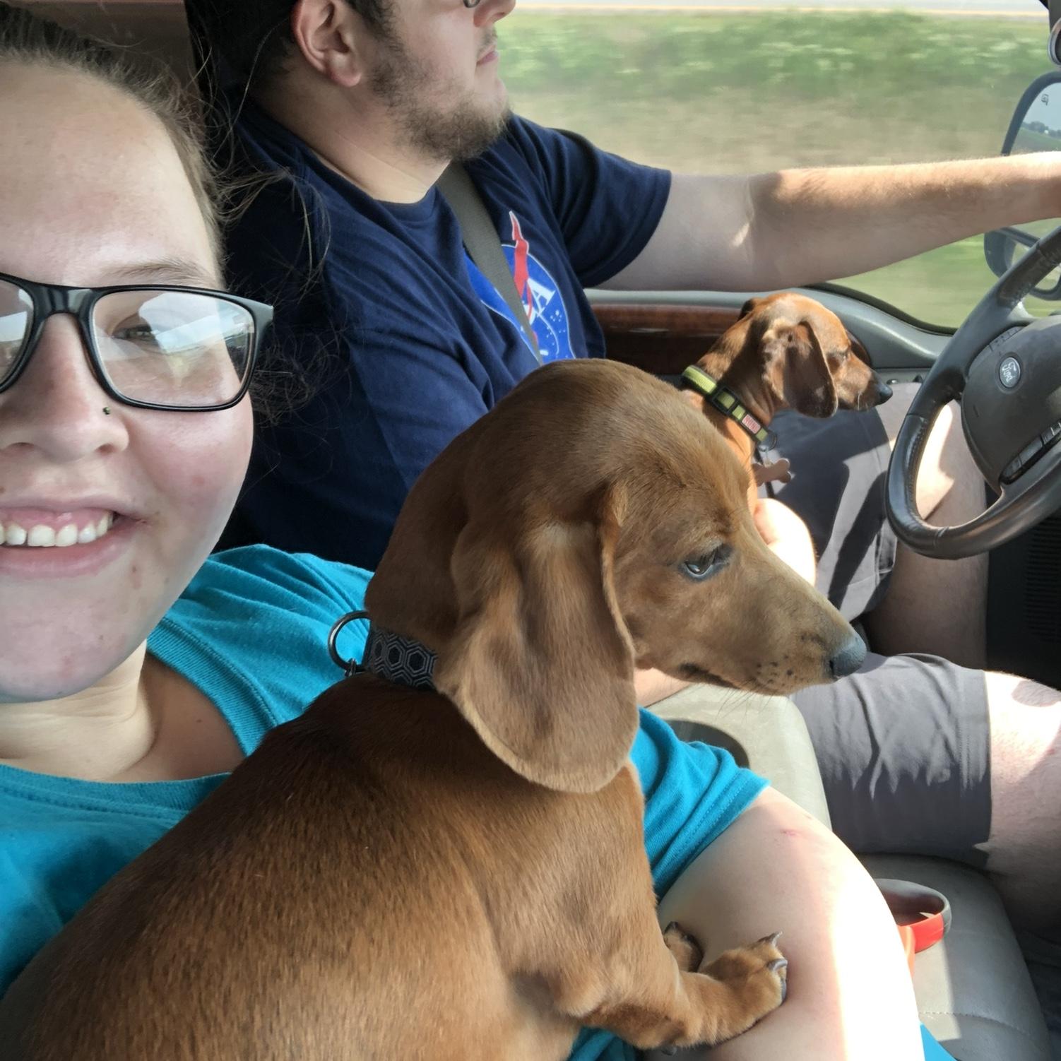 Our first trip with our two babies Ace and Spade ♥️