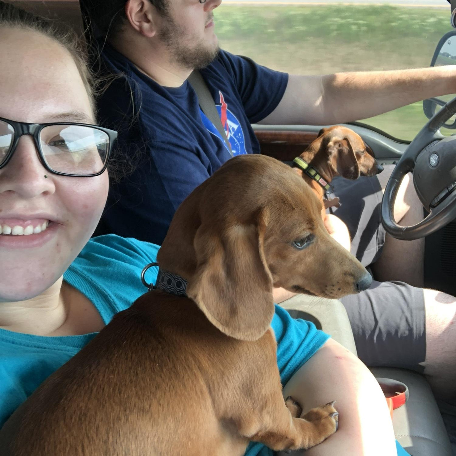 Our first trip with our two babies Ace and Spade ♥️