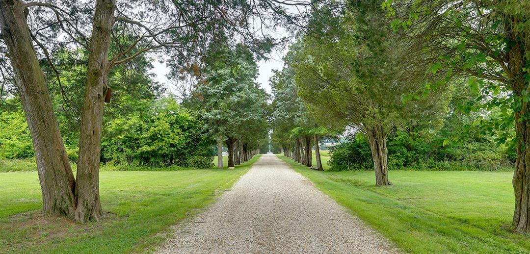 The Wedding Website of Savannah Giovannoni and Joshua Cañete