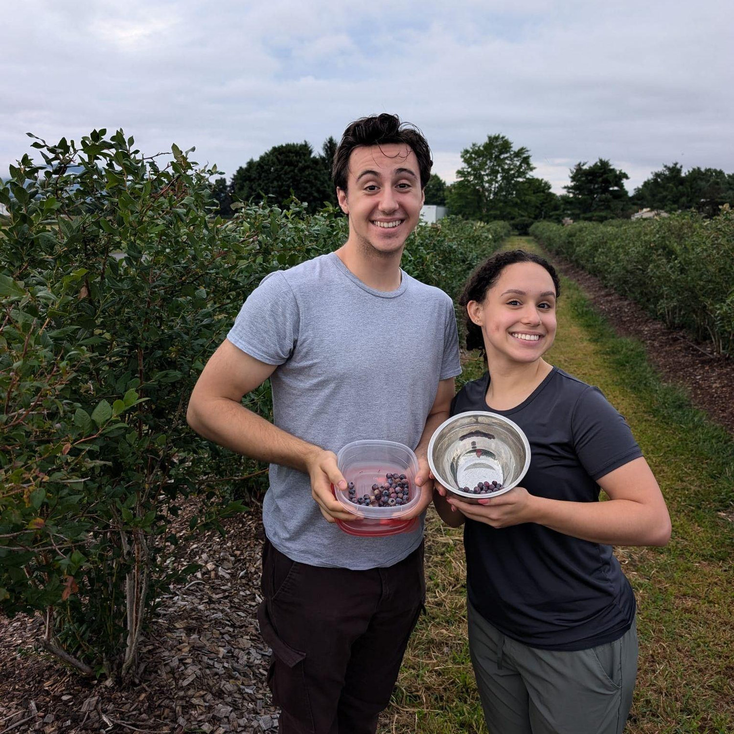 Blueberry picking at Wallkill!