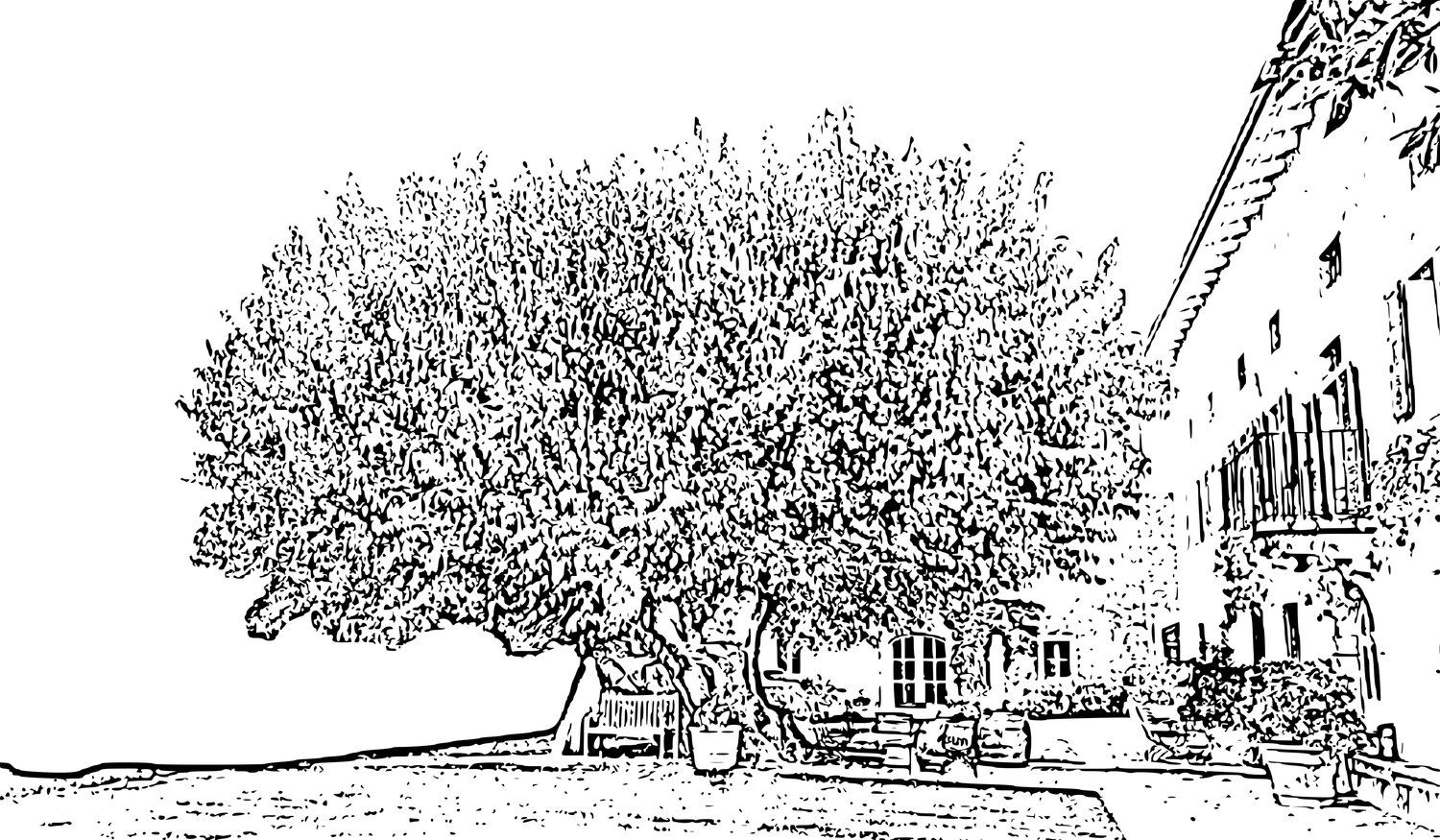 Footer image
