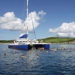 Day 5 - Turtle Cove Sail & Snorkel With Open Bar