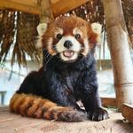 Oregon Zoo