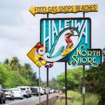 Explore the North Shore
