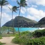 Makapuu Beach Park