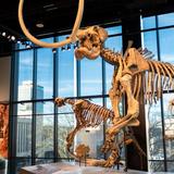 Burke Museum of Natural History and Culture