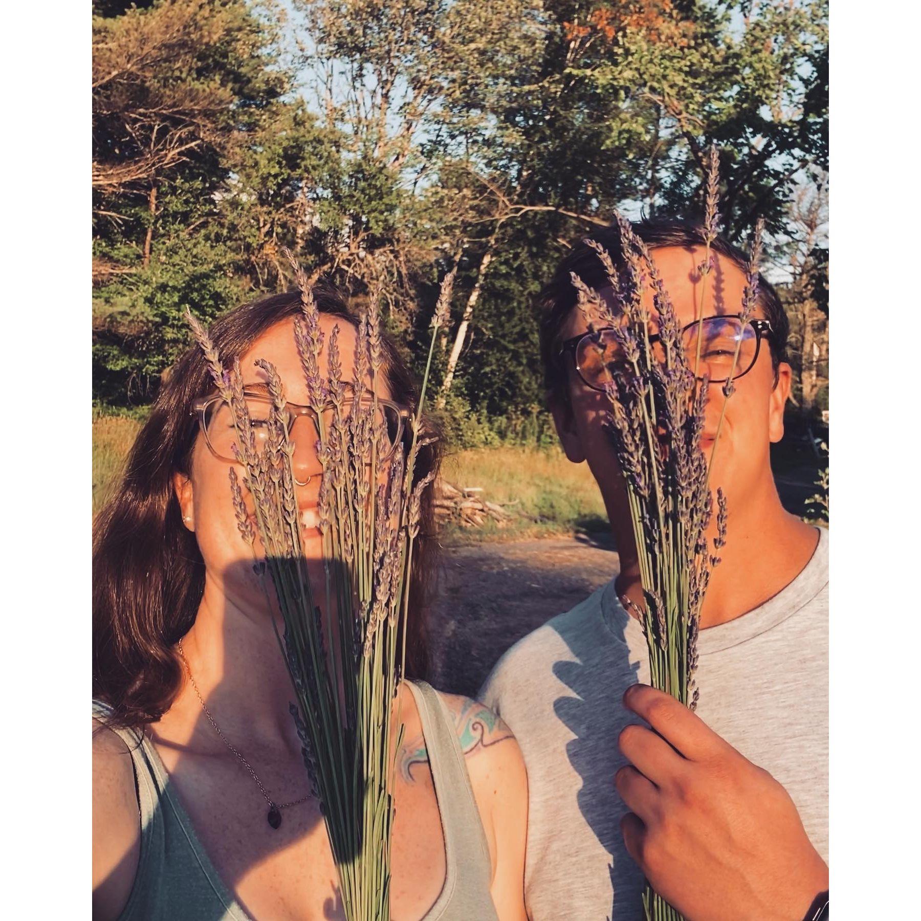Riverside Lavender Farm